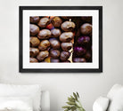 Garlic by Peter Morneau on GIANT ART - purple photo art