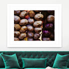 Garlic by Peter Morneau on GIANT ART - purple photo art