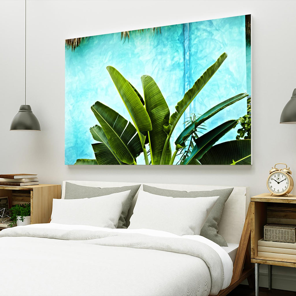 Tropical II by Peter Morneau on GIANT ART - green photo art