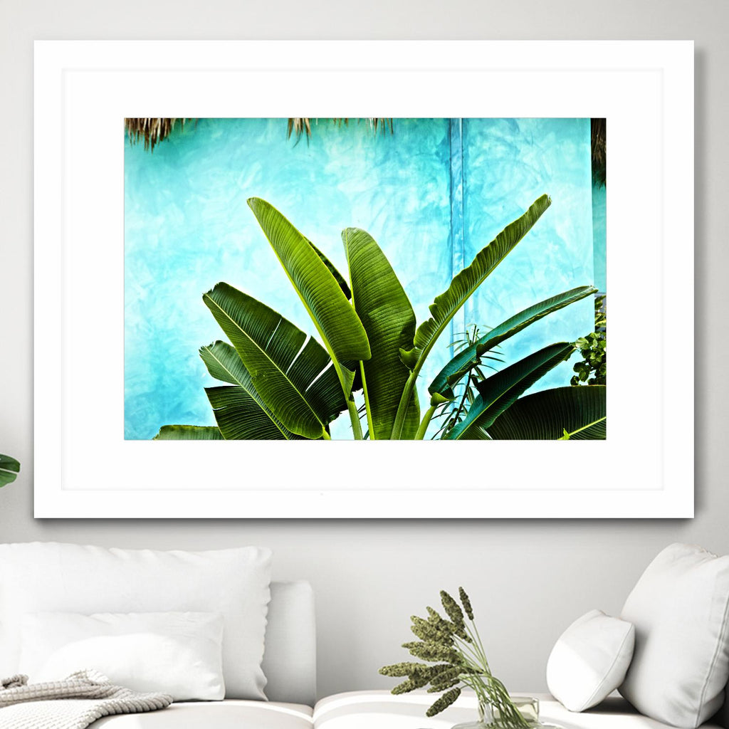 Tropical II de Peter Morneau sur GIANT ART - art photo vert