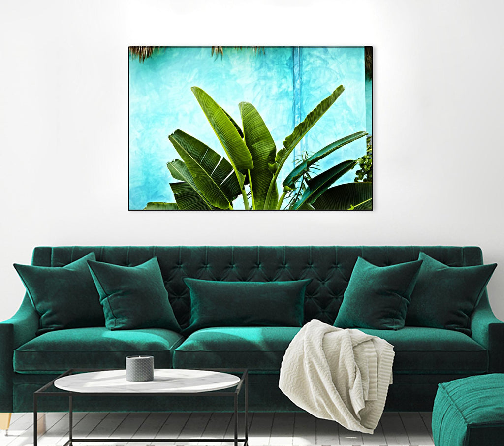 Tropical II de Peter Morneau sur GIANT ART - art photo vert