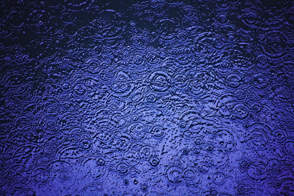 Rain II by Peter Morneau on GIANT ART - black photo art