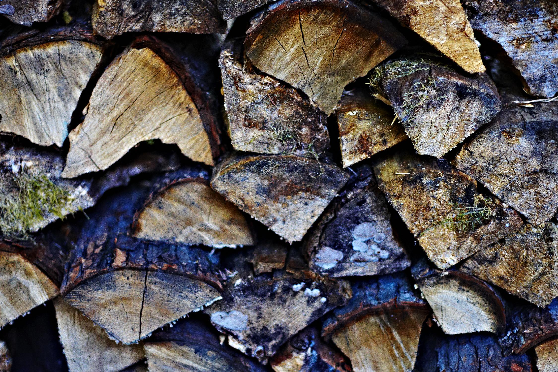 Wood II by Peter Morneau on GIANT ART - blue photo art