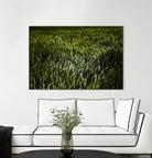 Grass III by Peter Morneau on GIANT ART - green photo art
