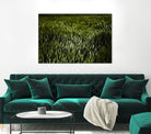 Grass III by Peter Morneau on GIANT ART - green photo art