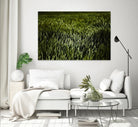 Grass III by Peter Morneau on GIANT ART - green photo art