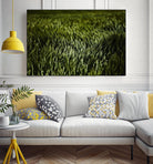 Grass III by Peter Morneau on GIANT ART - green photo art