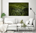 Grass III by Peter Morneau on GIANT ART - green photo art