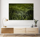 Grass III by Peter Morneau on GIANT ART - green photo art