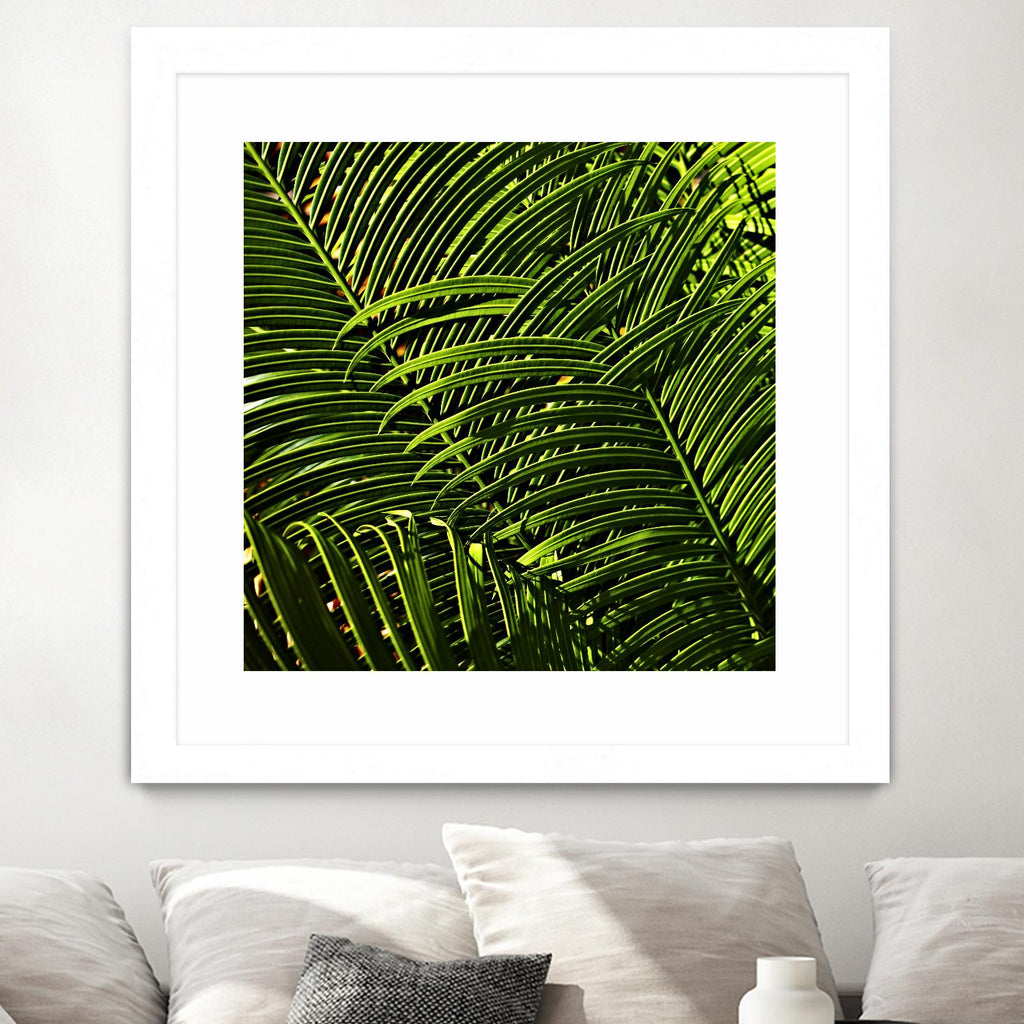 Leaves III par Peter Morneau sur GIANT ART - art photo vert