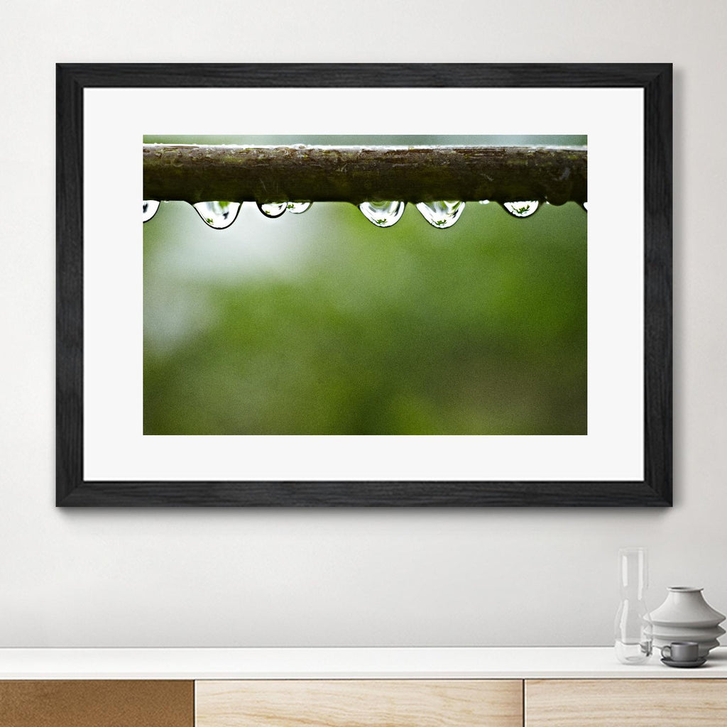 Drops of water II by Peter Morneau on GIANT ART - brown photo art