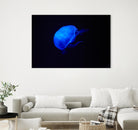 Blue and black II by Peter Morneau on GIANT ART - black photo art
