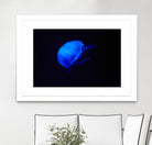 Blue and black II by Peter Morneau on GIANT ART - black photo art