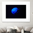 Blue and black II by Peter Morneau on GIANT ART - black photo art