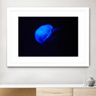Blue and black II by Peter Morneau on GIANT ART - black photo art
