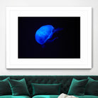 Blue and black II by Peter Morneau on GIANT ART - black photo art