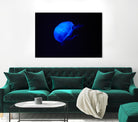 Blue and black II by Peter Morneau on GIANT ART - black photo art