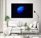 Blue and black II by Peter Morneau on GIANT ART - black photo art