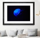 Blue and black II by Peter Morneau on GIANT ART - black photo art