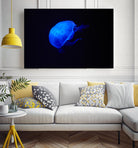Blue and black II by Peter Morneau on GIANT ART - black photo art