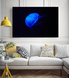 Blue and black II by Peter Morneau on GIANT ART - black photo art