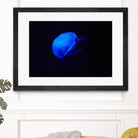 Blue and black II by Peter Morneau on GIANT ART - black photo art