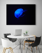 Blue and black II by Peter Morneau on GIANT ART - black photo art