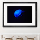 Blue and black II by Peter Morneau on GIANT ART - black photo art