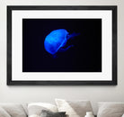 Blue and black II by Peter Morneau on GIANT ART - black photo art