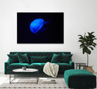 Blue and black II by Peter Morneau on GIANT ART - black photo art