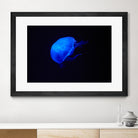 Blue and black II by Peter Morneau on GIANT ART - black photo art