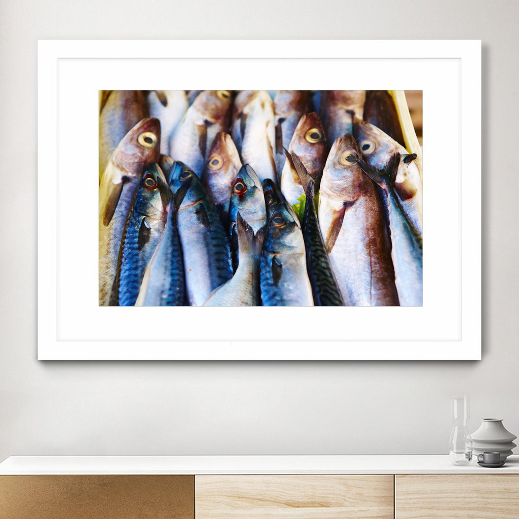 Fish V by Peter Morneau on GIANT ART - blue photography artistes du québec