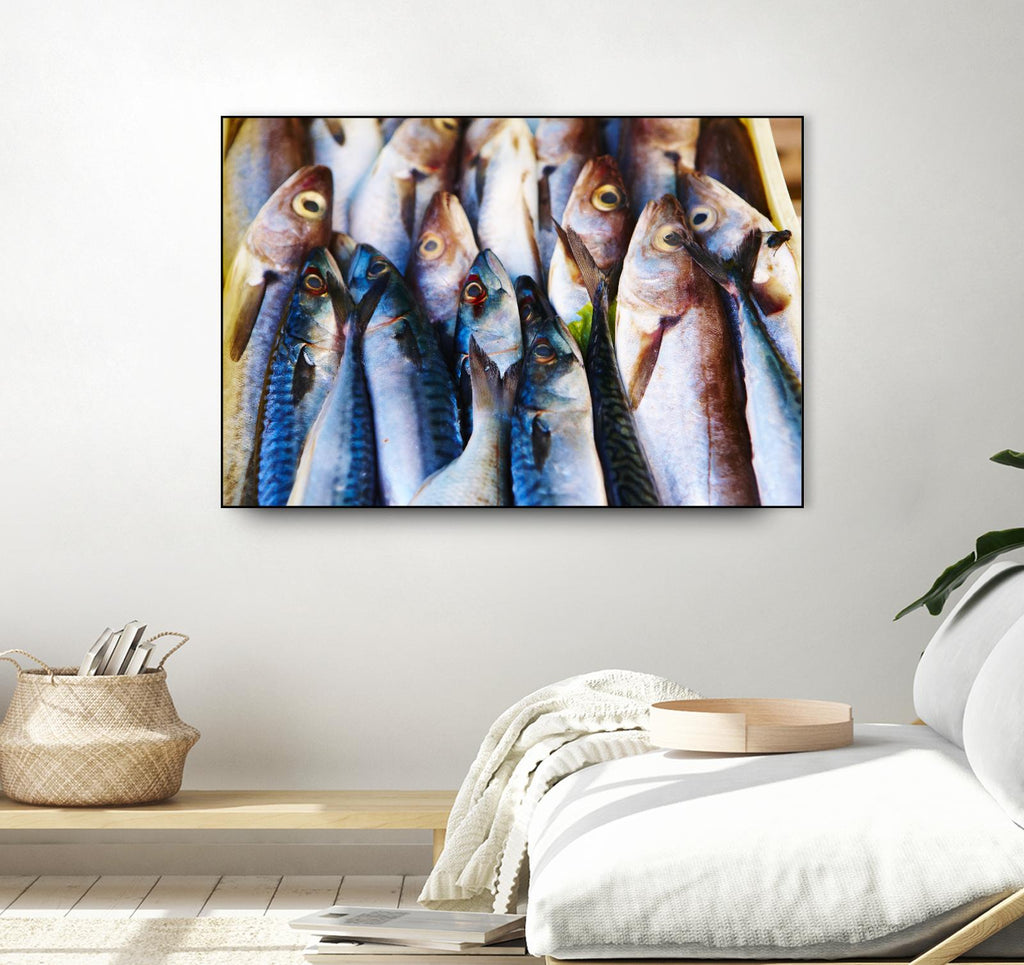 Fish V de Peter Morneau sur GIANT ART - art photo gris