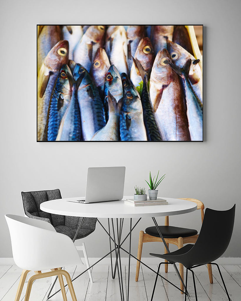 Fish V by Peter Morneau on GIANT ART - grey photo art