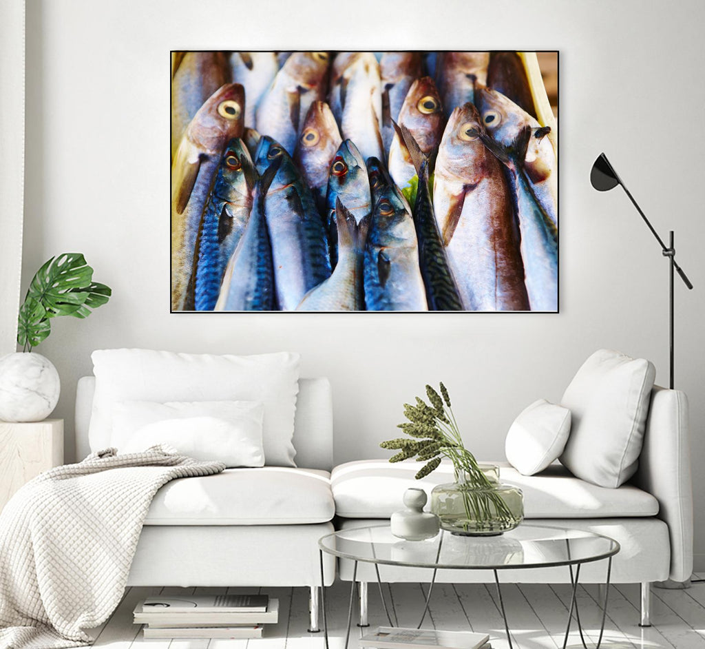 Fish V de Peter Morneau sur GIANT ART - art photo gris