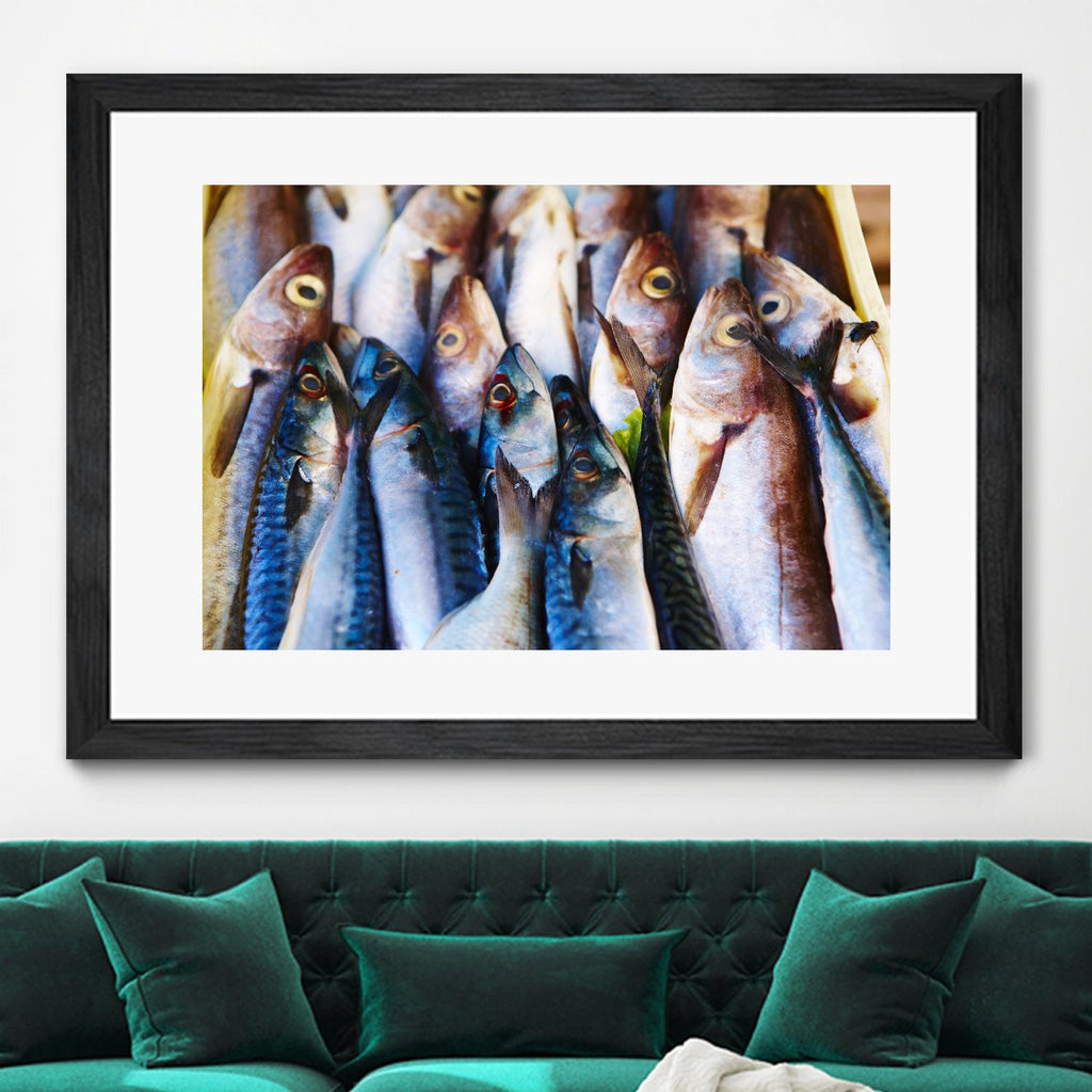 Fish V by Peter Morneau on GIANT ART - blue photography artistes du québec