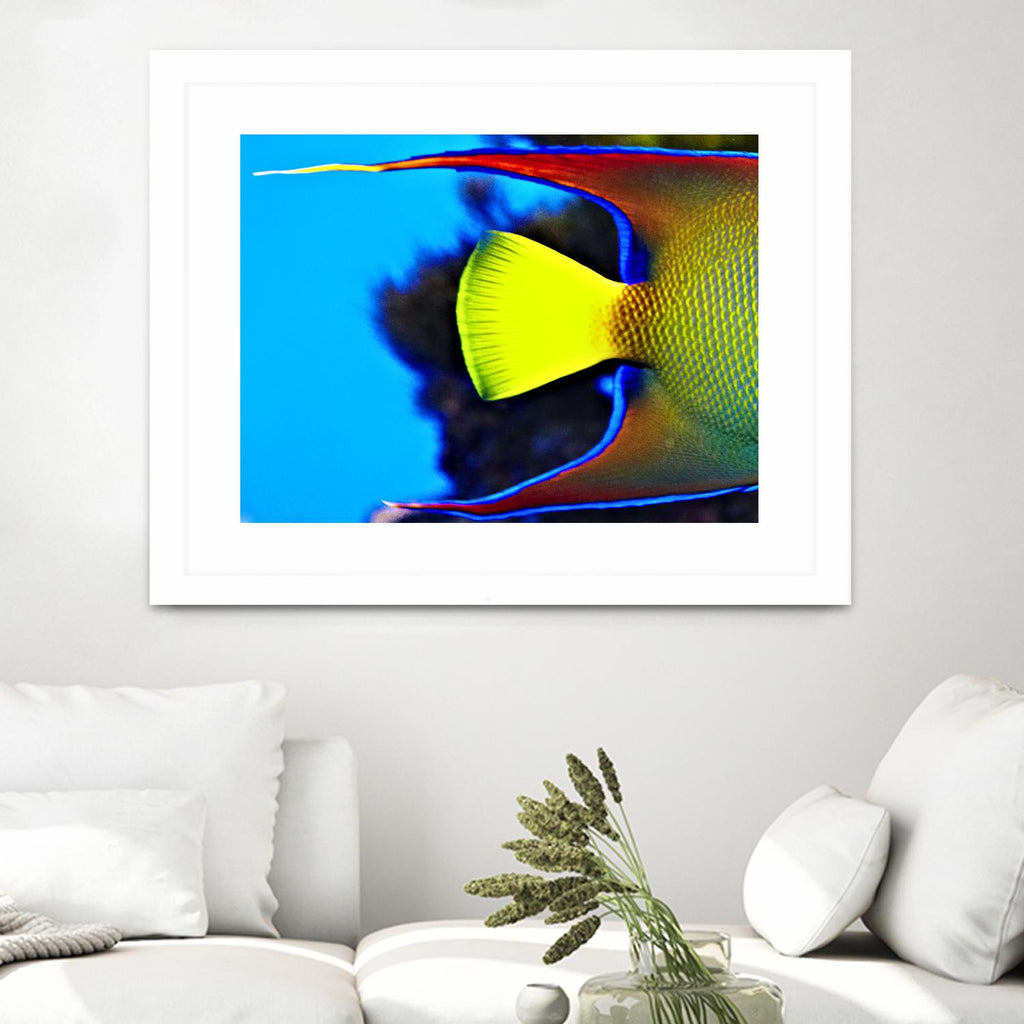 Yellow Fish by Peter Morneau on GIANT ART - yellow photo art