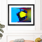 Yellow Fish by Peter Morneau on GIANT ART - yellow photo art