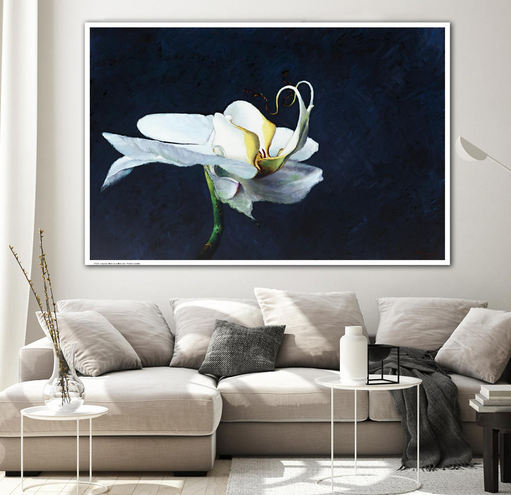 Phalaenopsis blanc de Jocelyne Maucotel sur GIANT ART - floral bleu