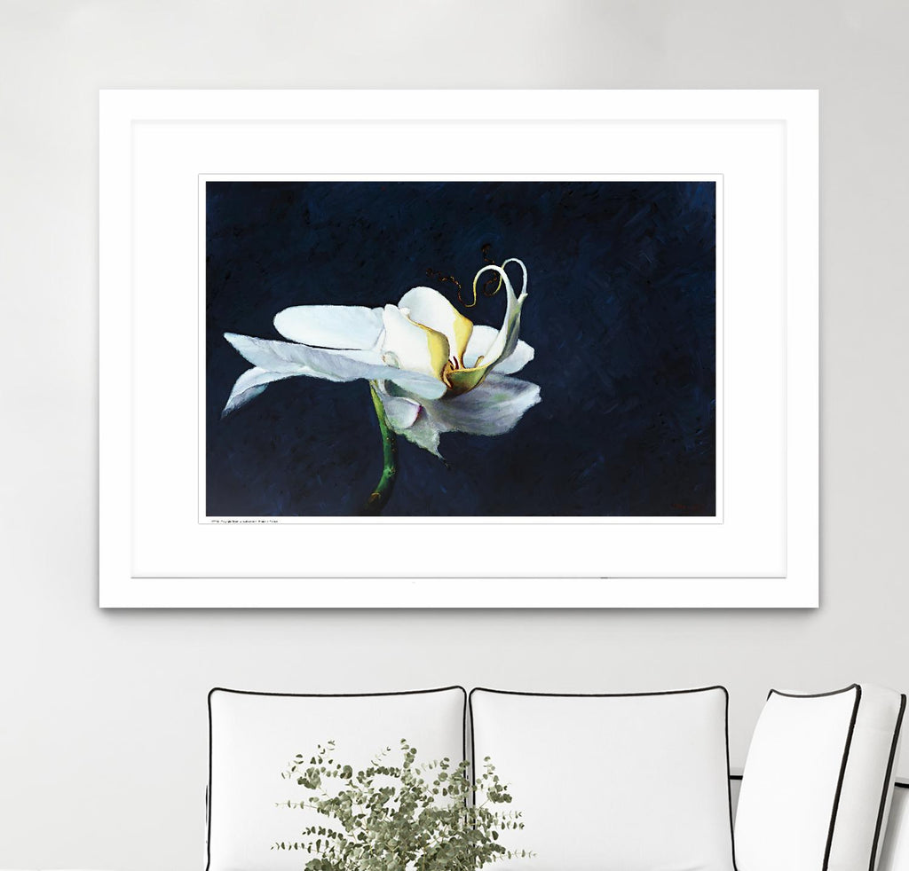 Phalaenopsis blanc by Jocelyne Maucotel on GIANT ART - blue flowers québécois