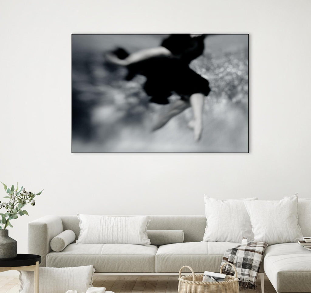 Fly by Peter Morneau on GIANT ART - grey photo art