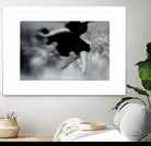 Fly by Peter Morneau on GIANT ART - black photography dancer