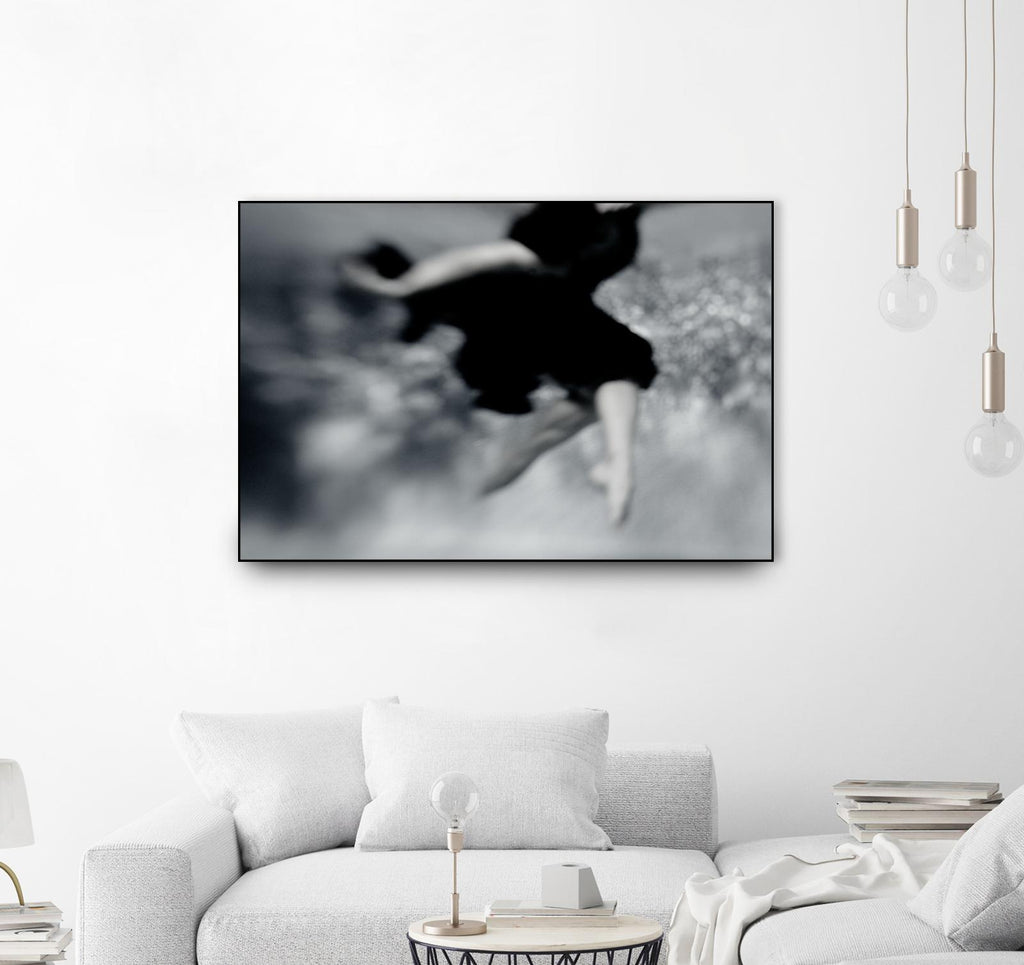 Fly by Peter Morneau on GIANT ART - grey photo art