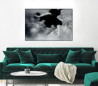 Fly by Peter Morneau on GIANT ART - grey photo art