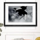 Fly by Peter Morneau on GIANT ART - black photography dancer