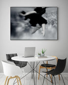 Fly by Peter Morneau on GIANT ART - grey photo art