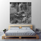 First Frost II by Jean-François Dupuis on GIANT ART - white black & white reflection