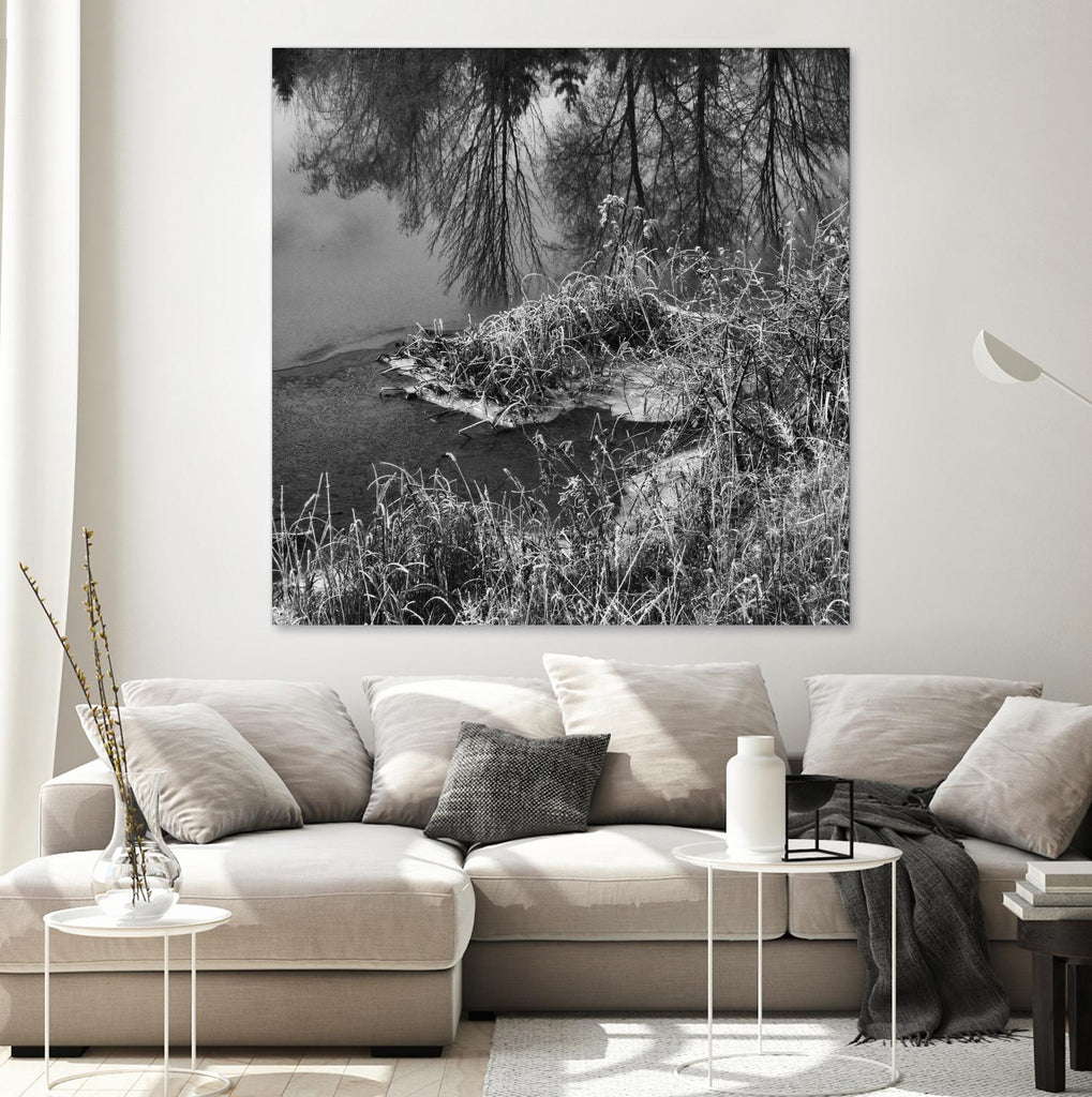 First Frost II by Jean-François Dupuis on GIANT ART - white black & white reflection