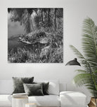 First Frost II by Jean-François Dupuis on GIANT ART - white black & white reflection