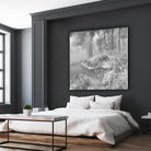 First Frost II by Jean-François Dupuis on GIANT ART - white black & white reflection